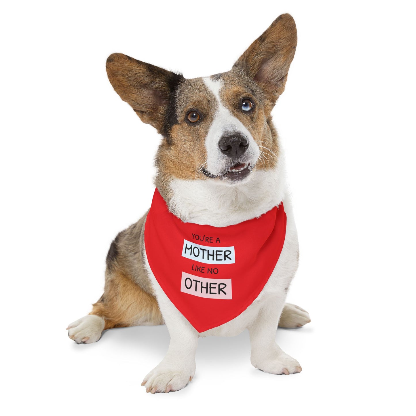 Pet Bandana — "You're a Mother Like No Other" Red Dog Bandana Collar (Mother's Day Gift)
