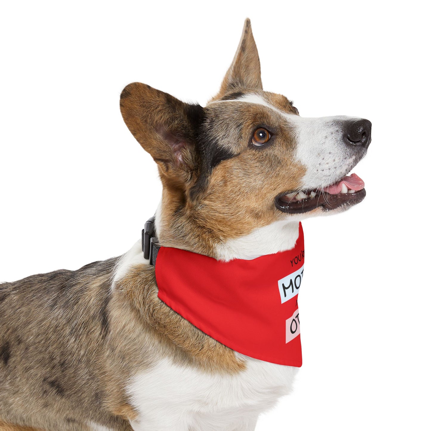 Pet Bandana — "You're a Mother Like No Other" Red Dog Bandana Collar (Mother's Day Gift)