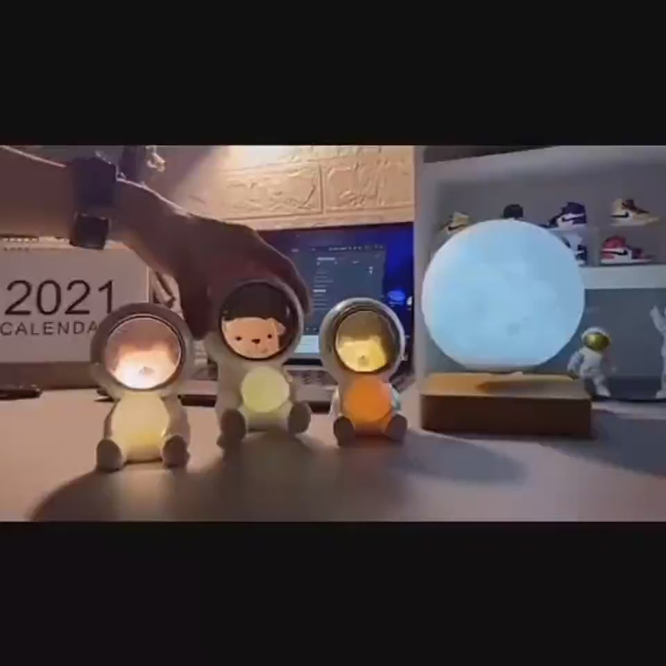 Starry sky animal atmosphere night light